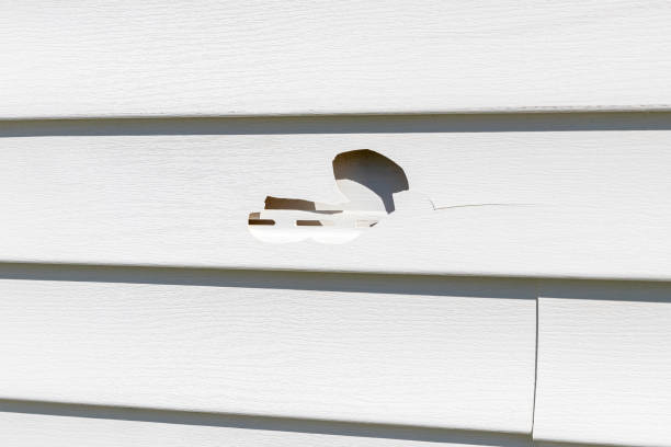 Best Engineered Wood Siding  in Keyport, NJ